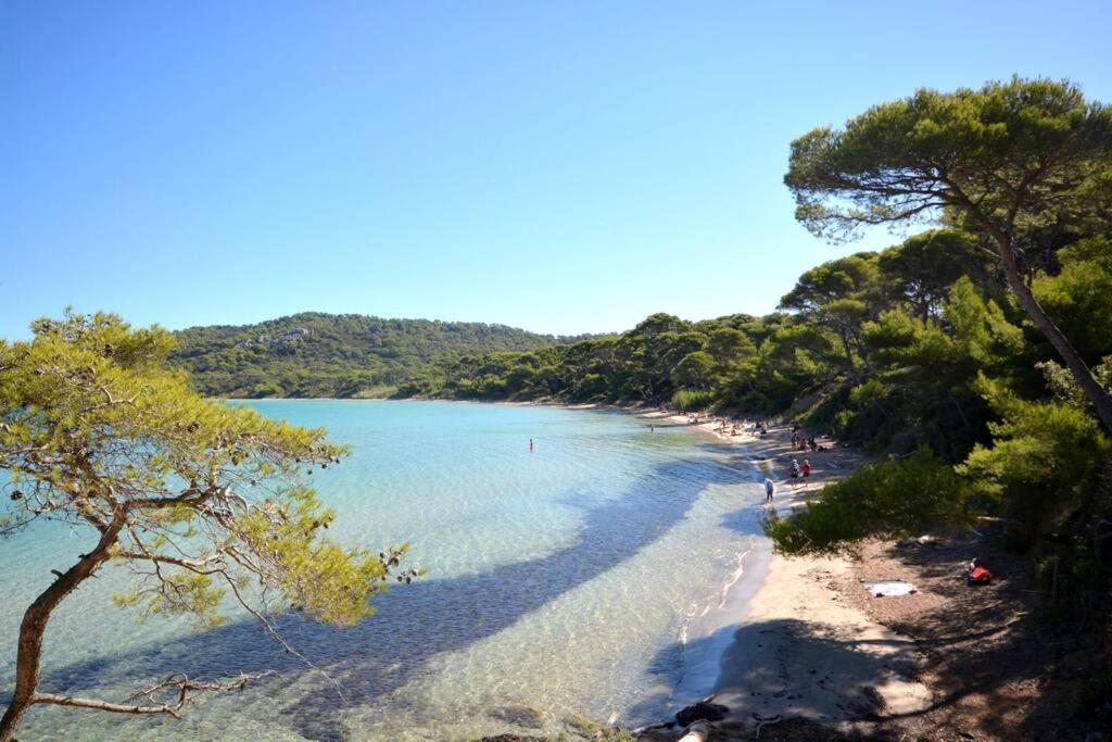 Studio Hyeres Port Et Iles D'Or. ภายนอก รูปภาพ