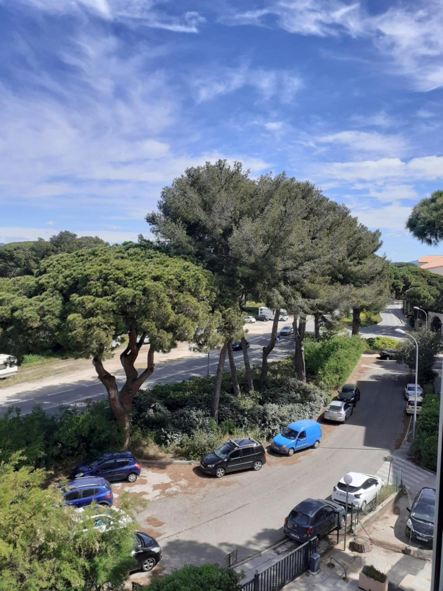 Studio Hyeres Port Et Iles D'Or. ภายนอก รูปภาพ